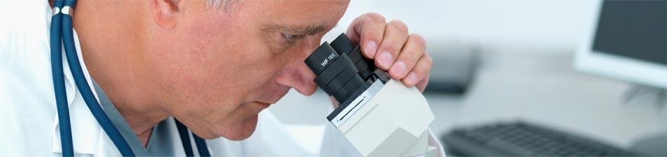 A História da dengue