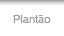 Plantão